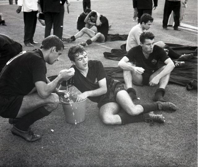 1708696329945014070.jpg 1708696329945014070.jpg